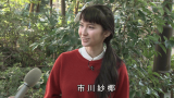 vlcsnap-2015-03-26-02h21m22s24.png