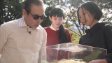 vlcsnap-2015-03-26-02h21m59s150.png